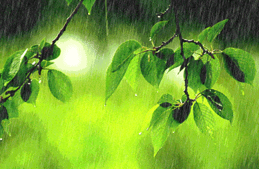 【新诗大观】如果雨知道||文/最美的时光
