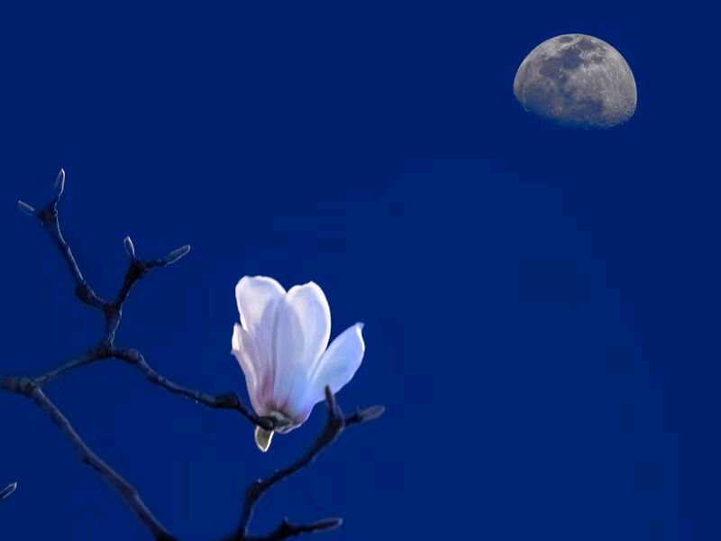 宁夏诗人于金奎:七律·壬寅腊月静夜随笔（上平十四寒）（图4）
