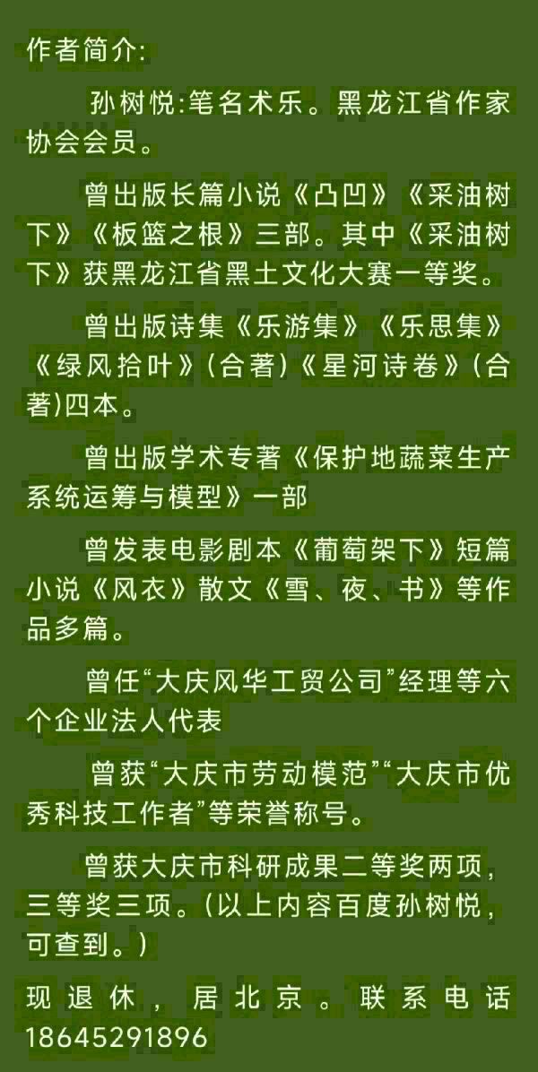 书乐(孙树悦):云南之浪漫（图13）