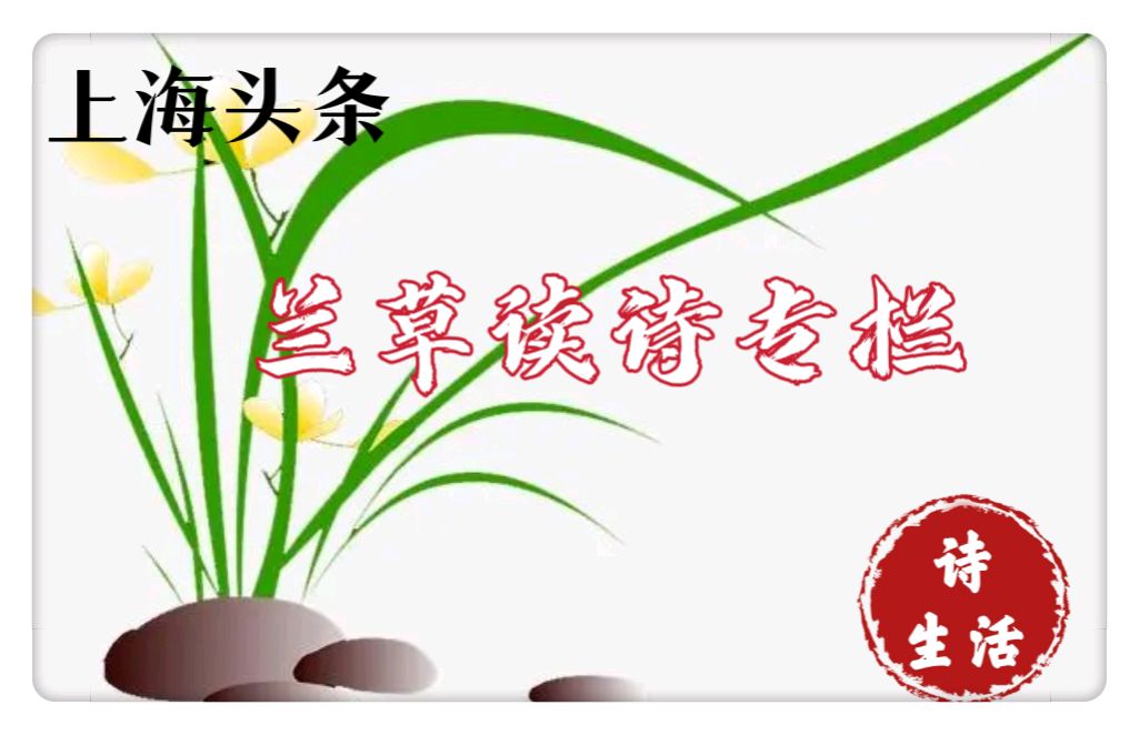 【上海头条】诗生活‖兰草读诗专栏02期