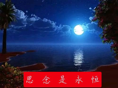 雪莹原创新诗五首欣赏（图6）