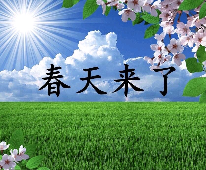 张健夫:美丽的巴彦苏苏，插上腾飞的翅膀（图26）