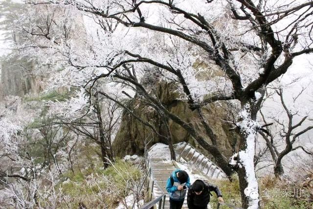 《一座山城》作者:秋谷【主播:刘树清】【桃源国际诗歌集团】用声音传递温暖以诵读致敬人生♬（图6）