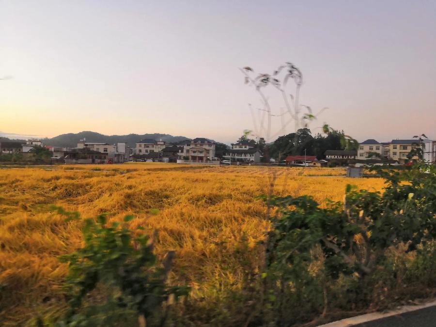 【九月茶韵文学诗社】2023—001《秋去冬又来》作者 诵读折弯的小草 编辑制作刘林丽（图4）