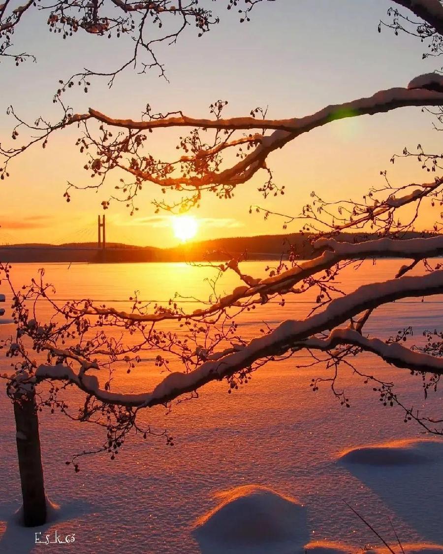 白雪朗诵【夕阳如火】作者/南山（图2）