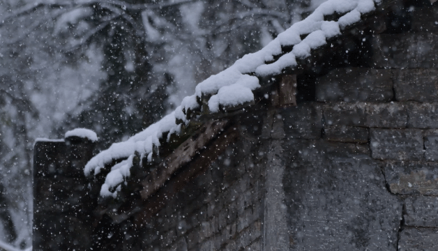 经典散文 ‖【雪】作者/鲁迅 朗诵/西风（图4）