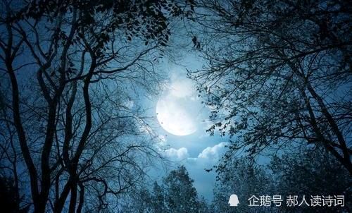请欣赏四位金牌主播老师倾情演绎大海老师名作/制作/宋梅【中国长江文学社】【第5029期】(图15)