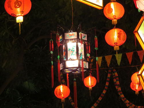 《那年花灯闹正浓》作者/胡焕新主播/馨园小主审核/庆福 编辑/胡琴(图7)