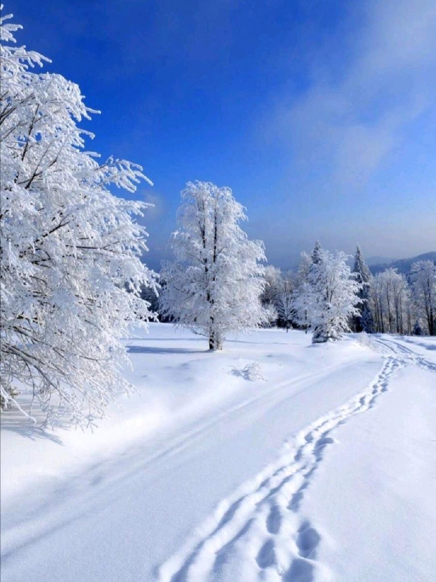 《九江文学社：有声文学平台》《今夜窗外有雪》文/梦在远方 主播/凤凰之歌（图5）