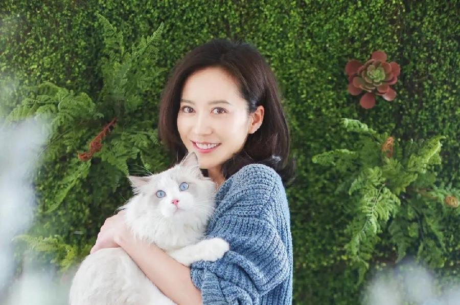【新诗大观】自带星芒||文/宋素环