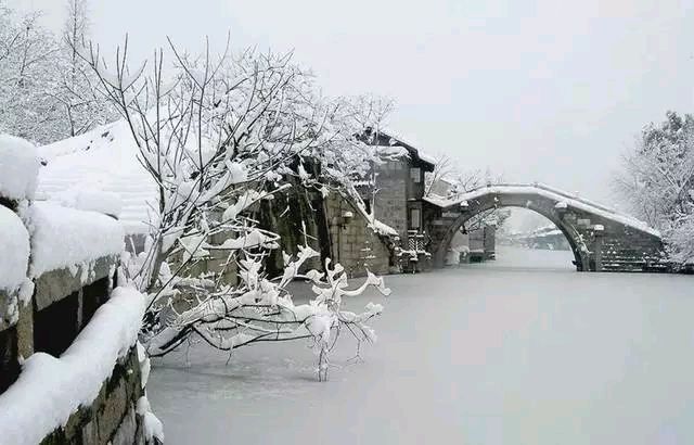 【中国长江文学社】有声文学平台名家名诵《雪声 》作者/一仆/诵读岁月静好/制作宋梅【第5036期】（图4）
