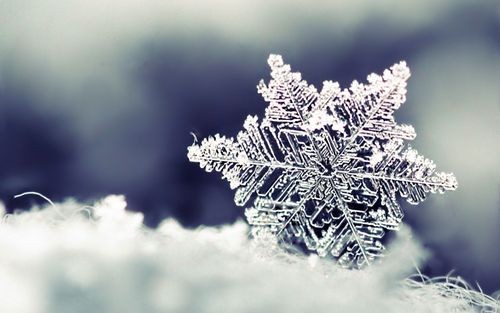 【经典推荐】田亮只老师//雪花｛欣赏｝（图2）