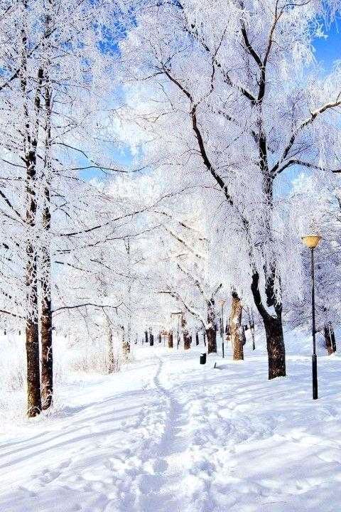 《佛国之旅》作者:蕉雨亭主【主播:鹏鹤】【桃源国际诗歌集团】用声音传递温暖以诵读致敬人生♬（图5）
