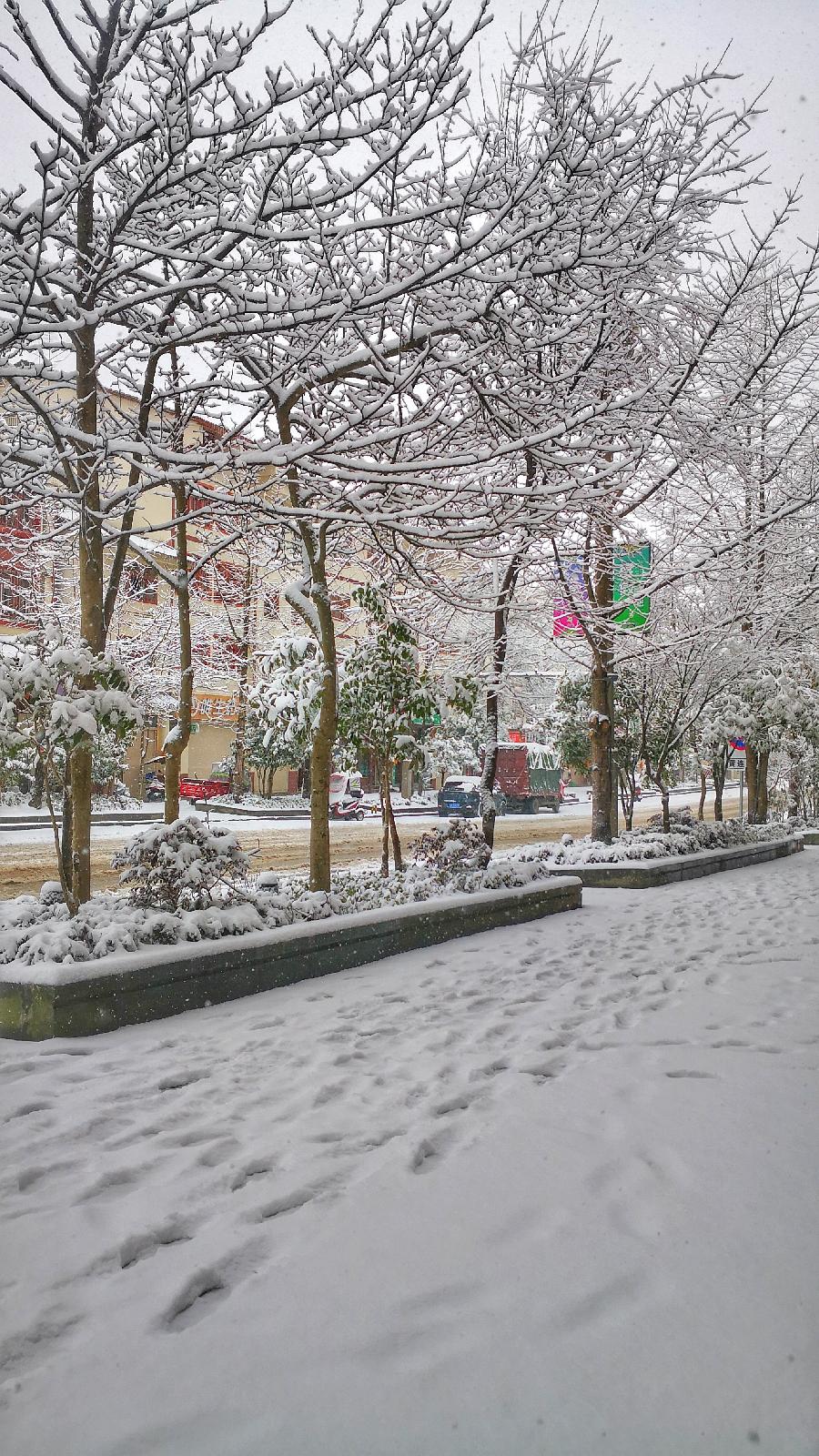 七绝·题凤凰栖小区雪景图