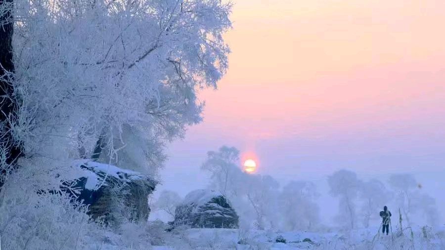 雪山飞狐:饮马歌·咏反思(原创首发)（图4）