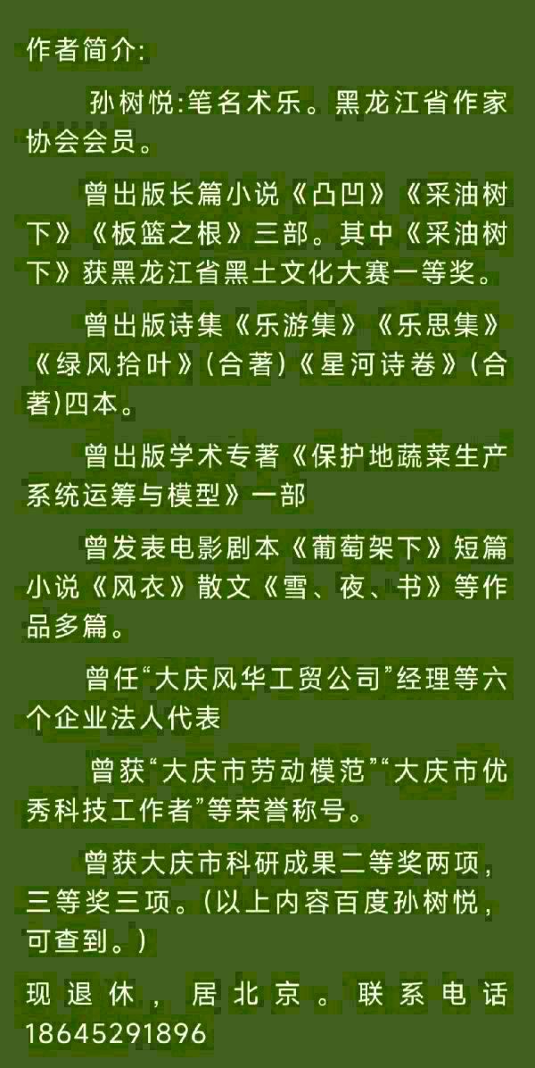 诗人书乐(孙树悦):泸沽湖（图14）