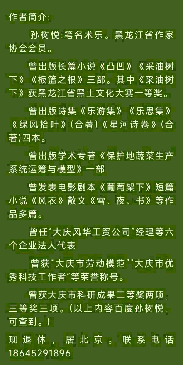 书乐(孙树悦):石林（图15）
