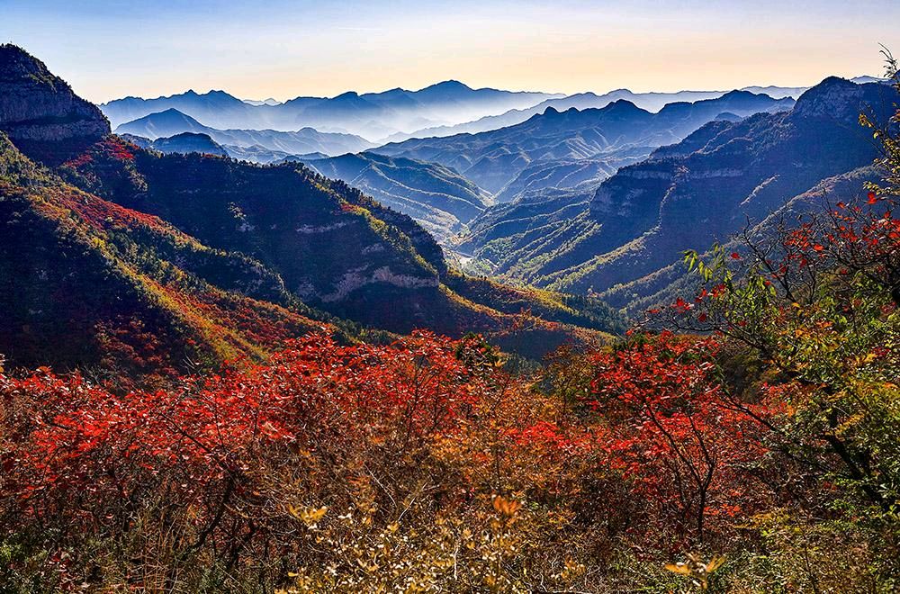 诗话仙台山 | 文/张瑞堂