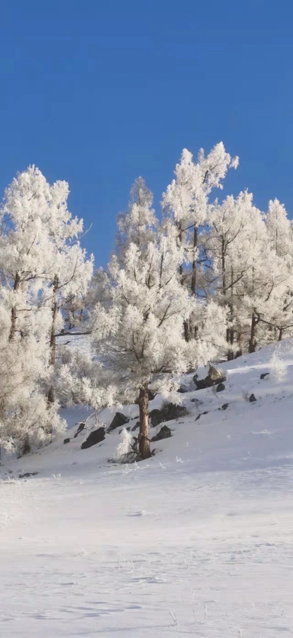 喀纳斯雪景（图5）