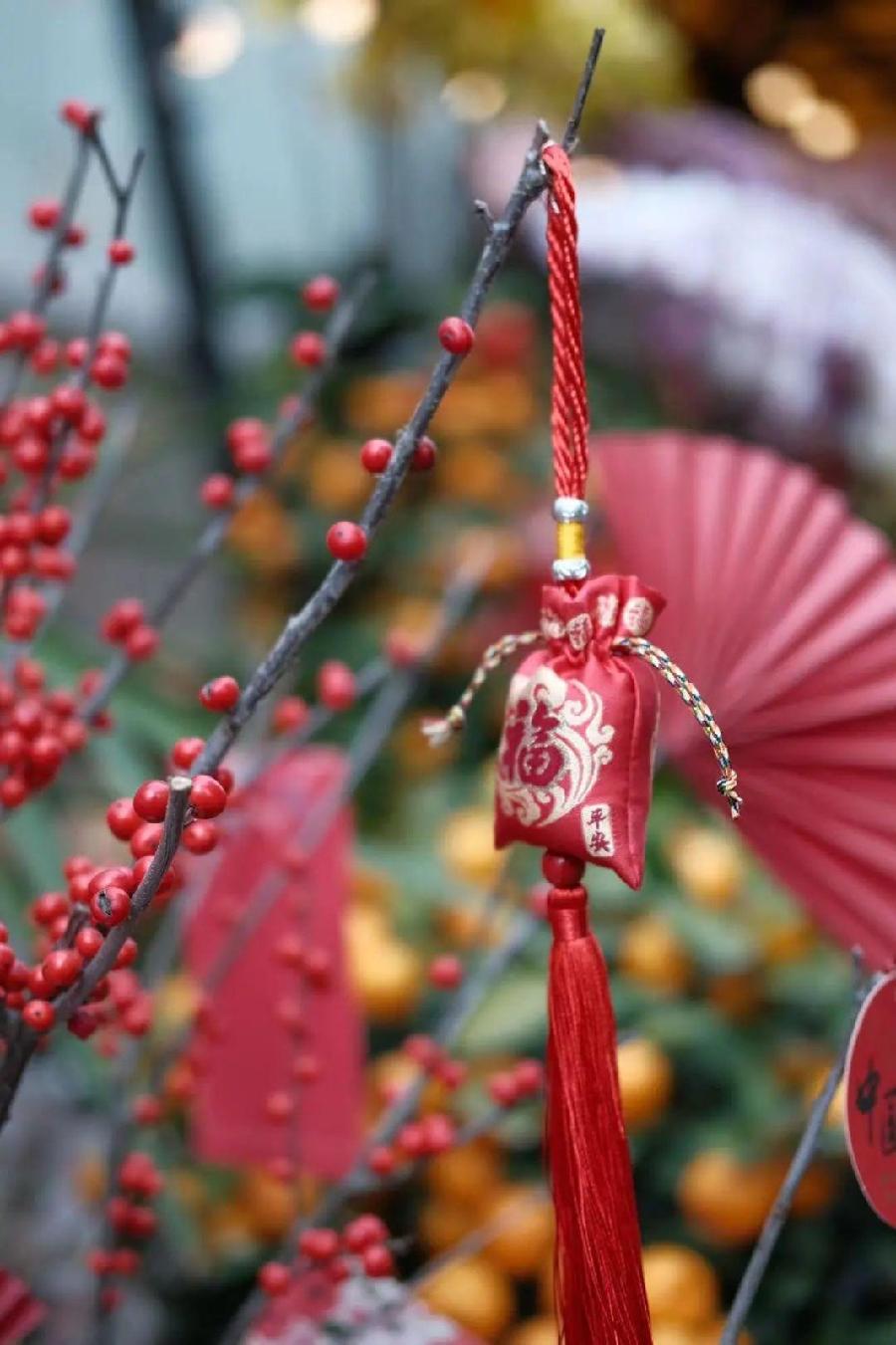 刘欣朗诵【春花烂漫中国年】作者/雷金钟（图3）