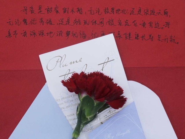 经典诗文 ‖【感谢你啊，生命】作者/帕拉 朗诵/徐镇敏（图3）