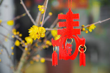 送虎迎兔（图2）