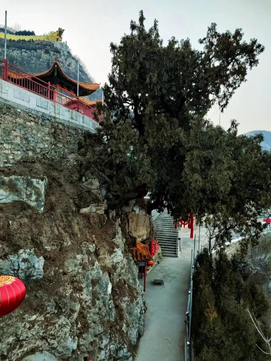 癸卯元日同题命句谒灵岩寺｜ 图/罗敷（图3）