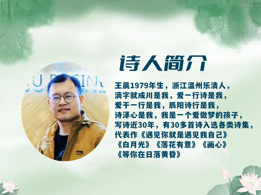 美文佳诵 ‖【寂色】作者/滴字就成川 朗诵/弘华（图2）
