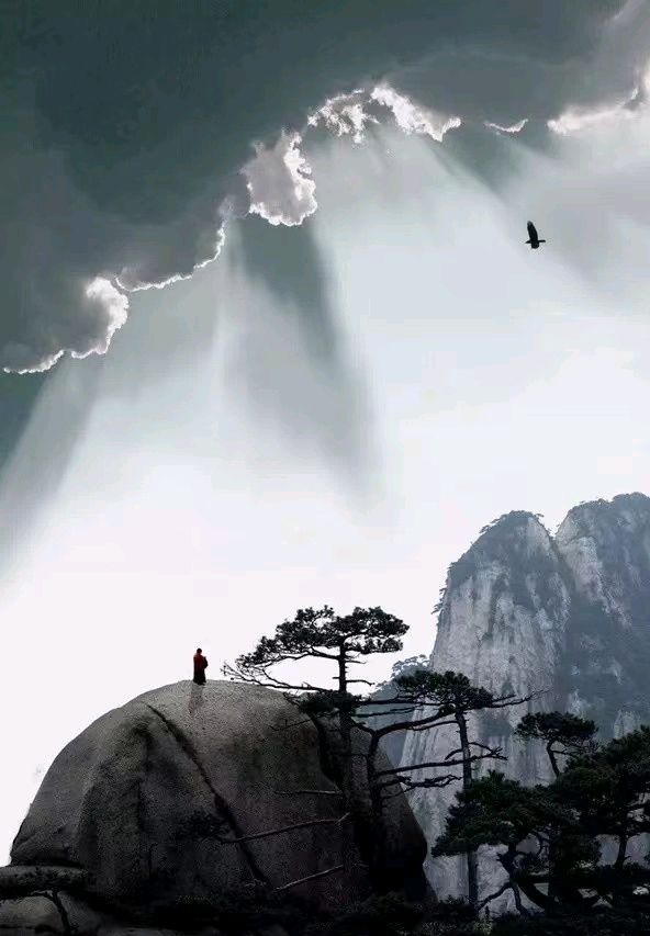 联机全球发布孙书林精品诗歌欣赏（图15）