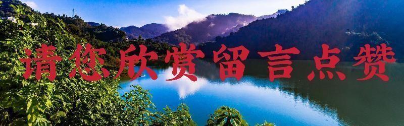 【经典推荐】感悟人生//七律•新春寄语（图5）