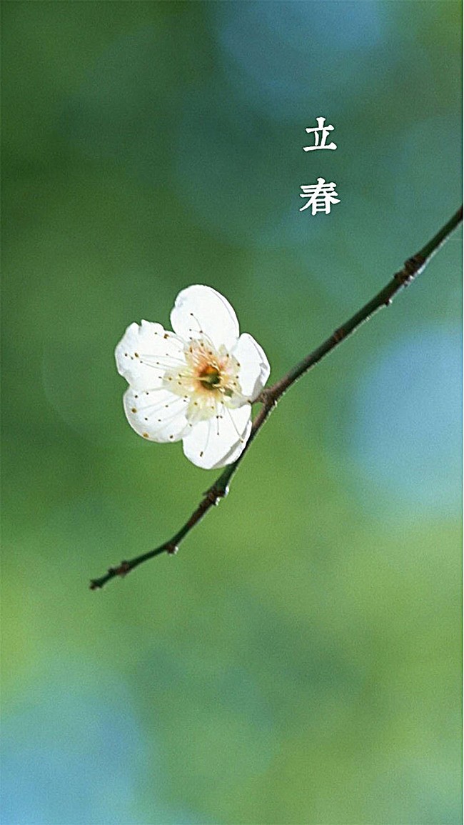 牛丽君朗诵【二十四节气系列小知识——立春】文字整理/牛丽君(图2)