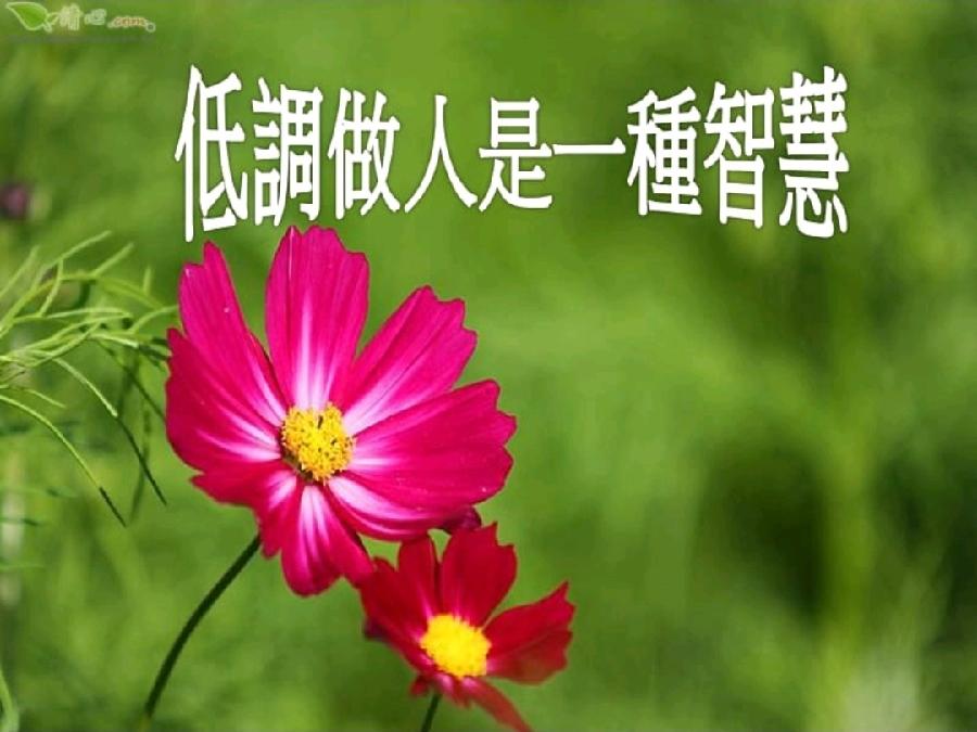 《世家名家》《九江文学社:北京头条》著名艺术家沈志昂先生美文集粹欣赏(图18)