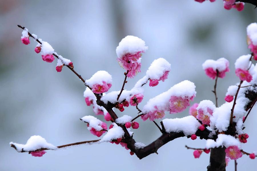 贺新春之三十四:许彦华“梅雪争春”诗词选萃‖巴彦诗协诗词联卷【336】(图2)