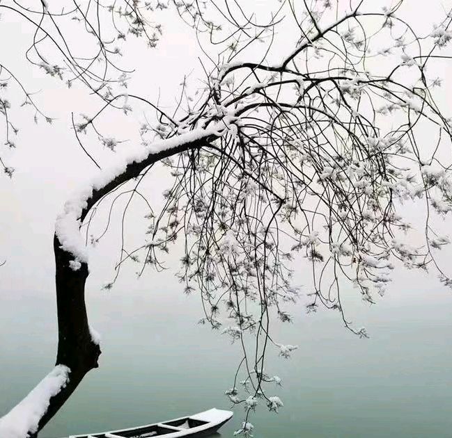 联机全球发布孙书林精品诗歌欣赏（图10）