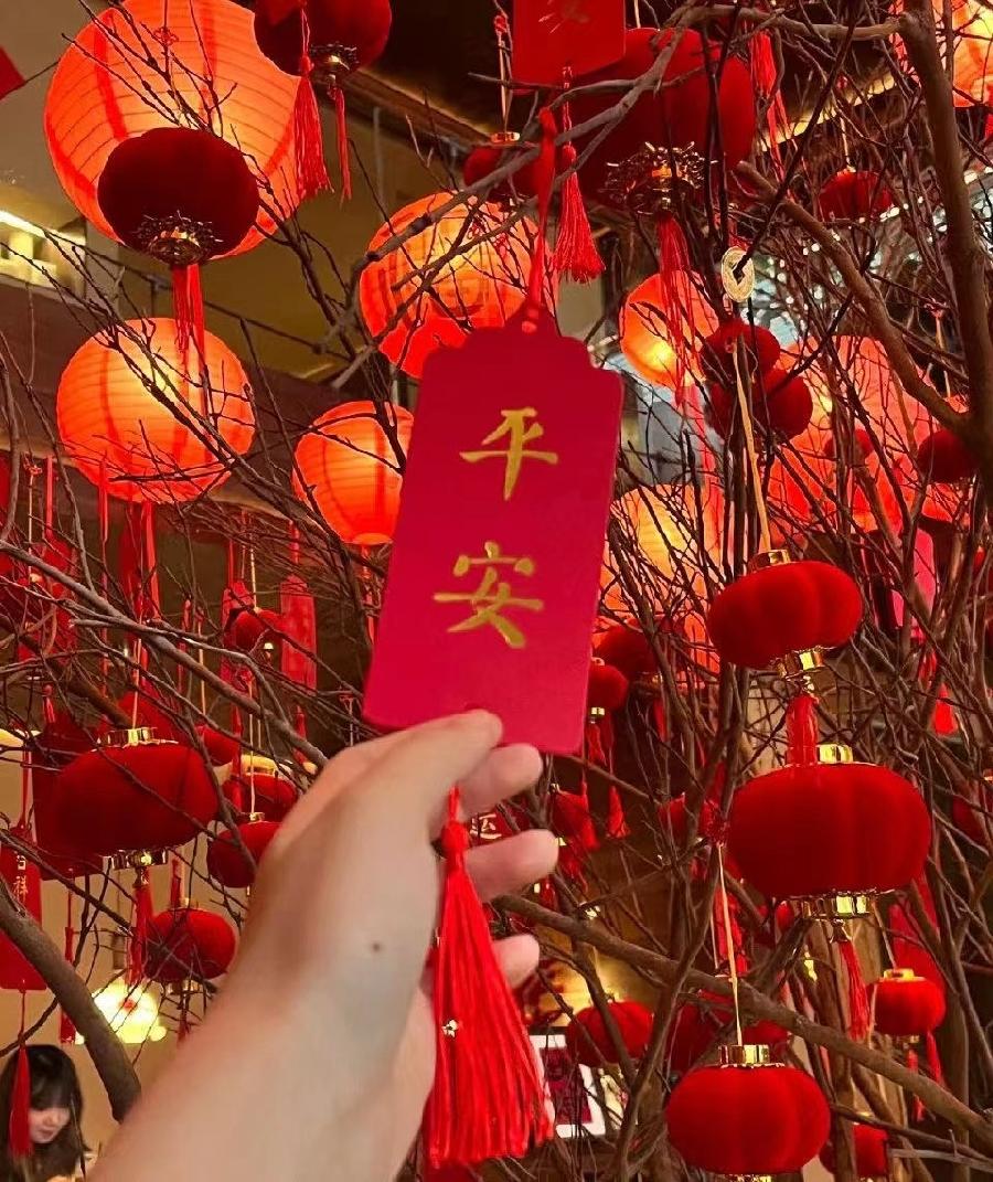 弘华朗诵【春节的元素】作者/任学路（图3）