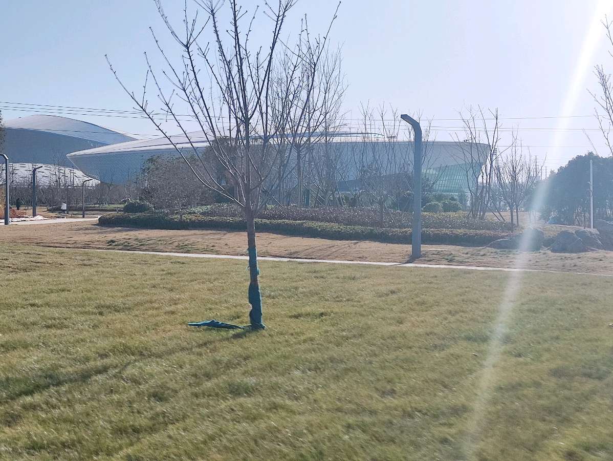春暖花开之，伊滨中央公园 原作/梁立锋（图5）