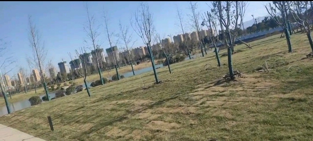 春暖花开之，伊滨中央公园 原作/梁立锋（图12）