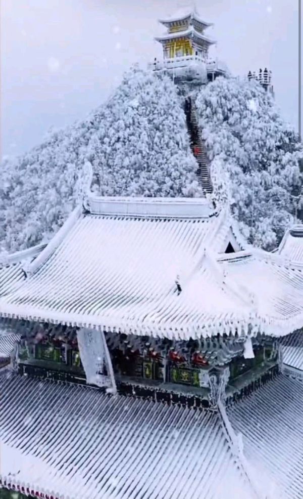 联机全球发布孙书林精品诗歌欣赏（图8）