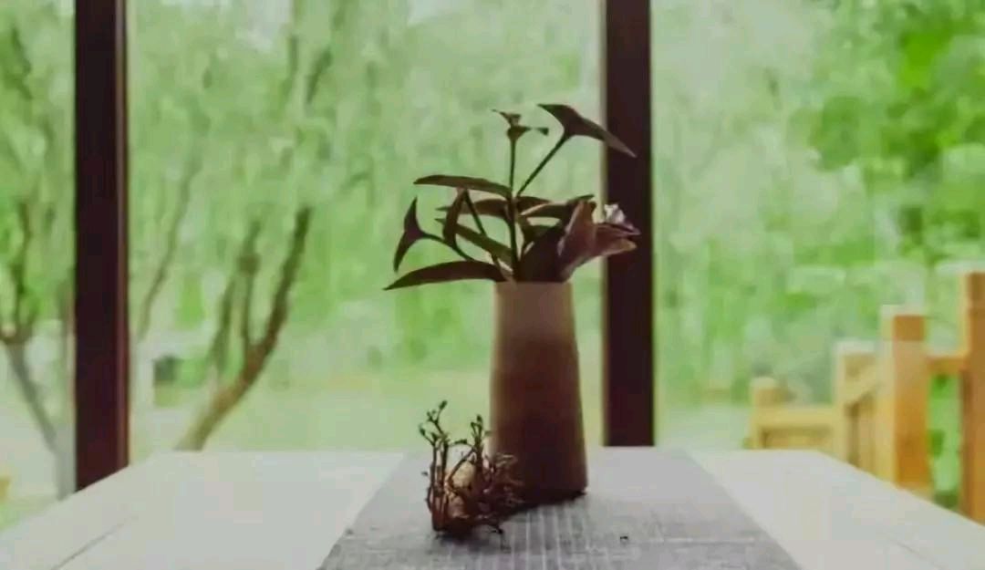 《中国爱情诗刊》【中国爱情诗人档案】（第5096期)青海诗人：桃花寺主的诗（图4）