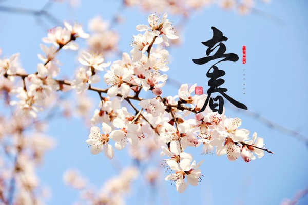 春姗如笑朗诵【红梅报春】【满庭芳*立春】作者/石志华（图2）