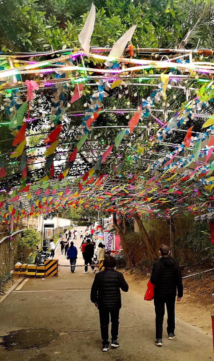 【春节初三】文／磊怀（图15）