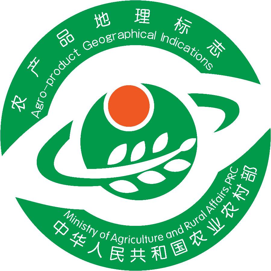 椿香暖棚话美景(图3)