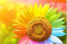 琦琦赵朗诵【生活回原位】作者/王胜利（图5）