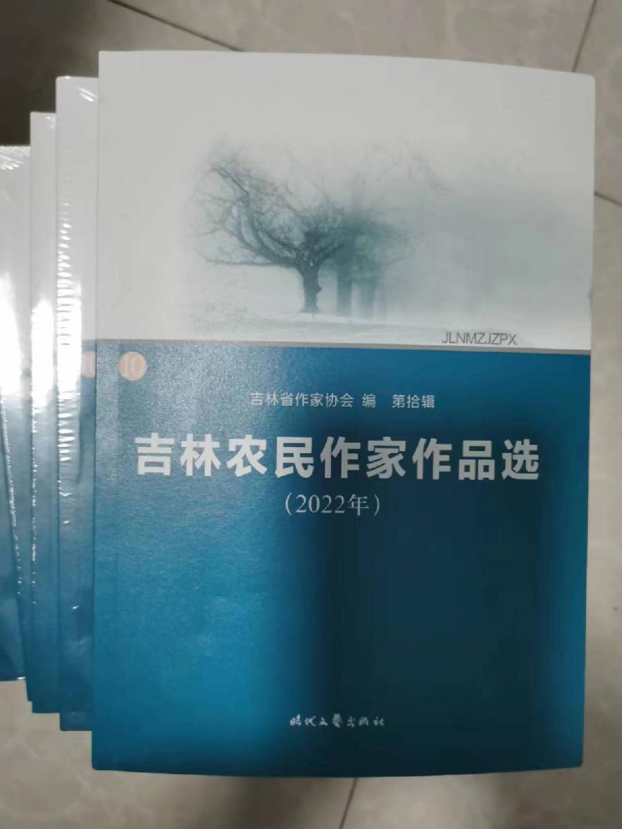 《九江文学社:北京头条》《文学依然神圣》作者/杨继廷(图3)