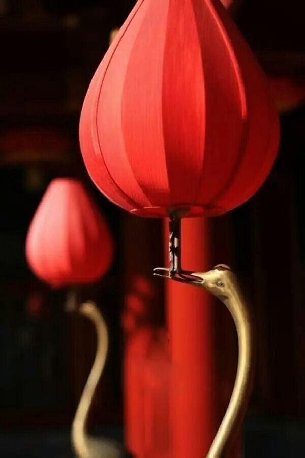 经典合诵 ‖【中国红，世界红】作者/刘伙力 合诵/听你花开的港湾主播 音频合成配乐/墨语（图3）