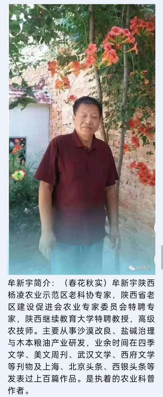 水晶朗诵【俗话趣事杂谈】作者/牟新宇（图2）