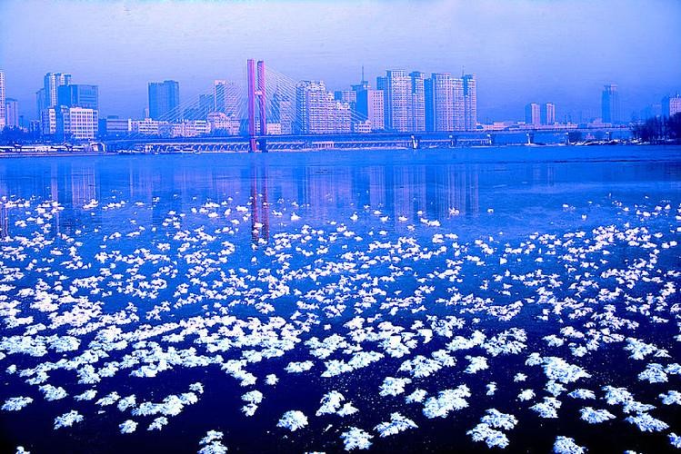 【新春寄语】张建国//七律•瑞兔迎春｛新春佳节作品展｝（图3）
