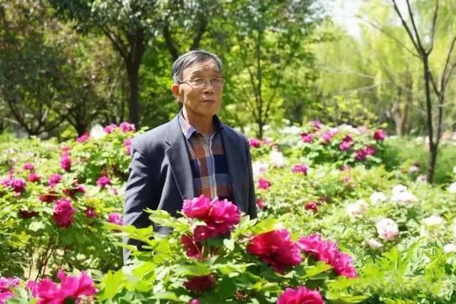 【新诗大观】美好记忆夕阳红一一拜读谢吉恒老师《难以磨灭的记忆》有感||文/沈五群(图3)