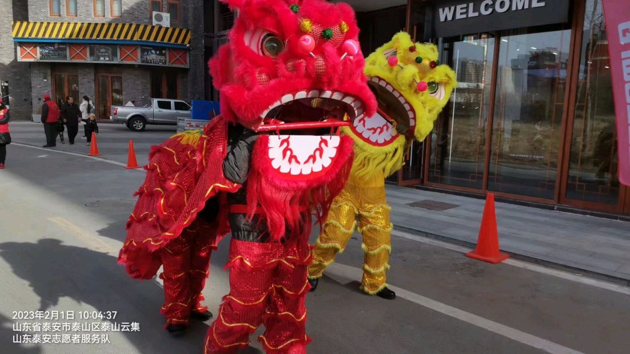 优秀文化传播四方 志愿精神顶寒昂扬（图3）