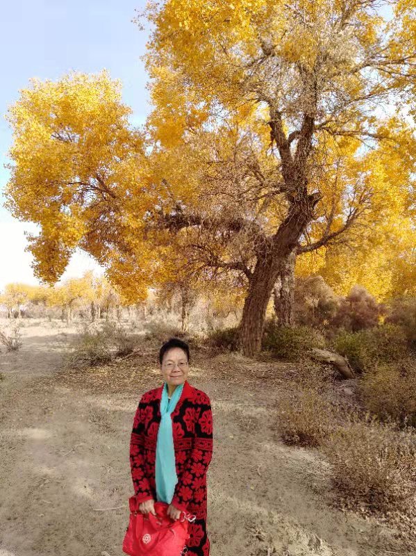 【九月茶韵文学诗社】2023——006《塔里木的胡杨》作者刘林丽 合诵赵爱华 刘林丽 编辑制作刘林丽(图5)